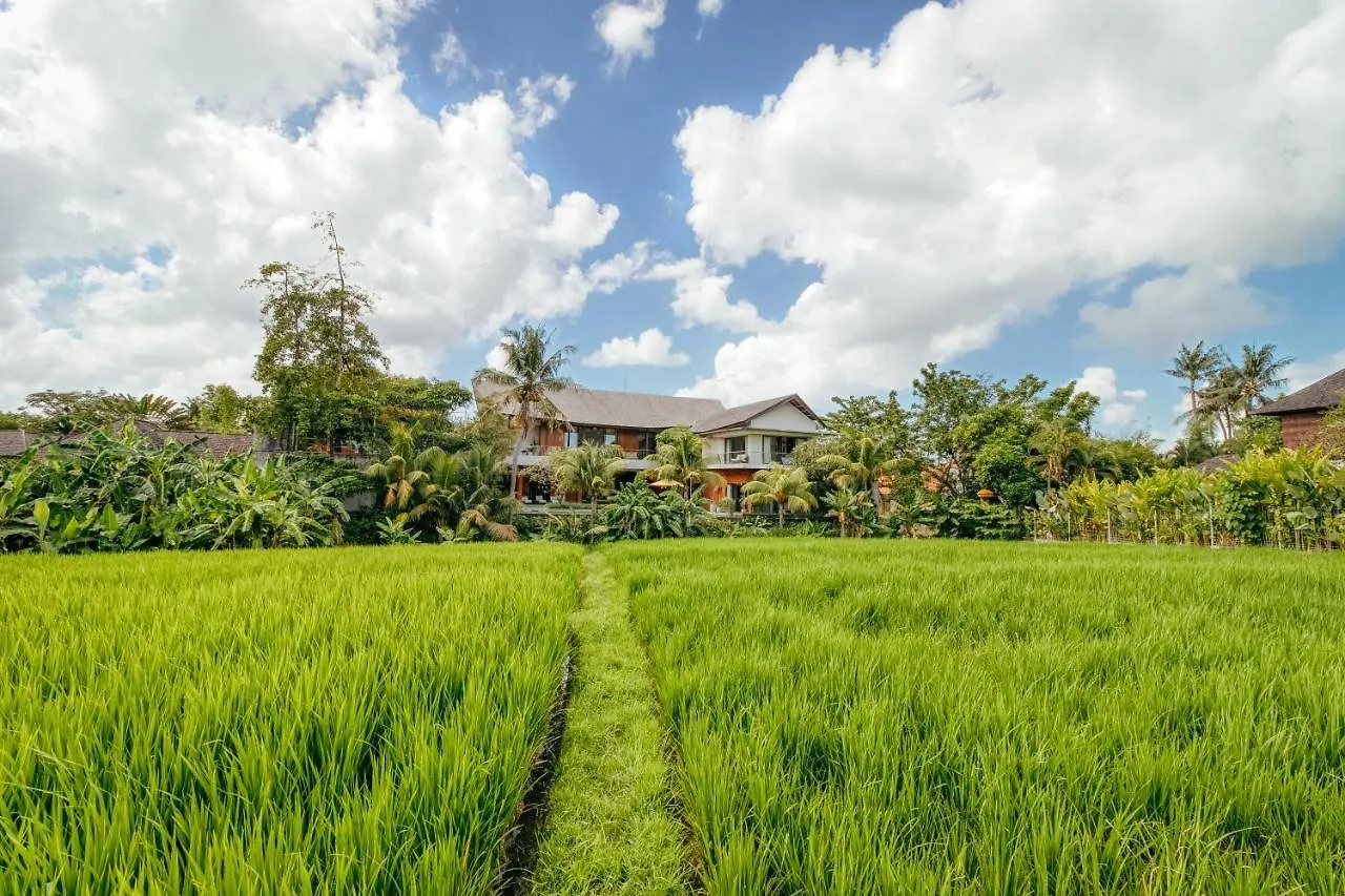 Villa Kimaya - 5-Bed Berawa Luxury Villa With Complimentary Pool Fence Canggu
